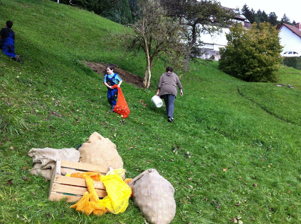 Bilder Handy 1114 035